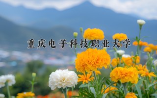 2024年重庆电子科技职业大学录取分数线，河北最低435分