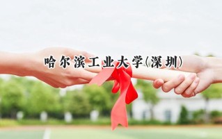 哈尔滨工业大学(深圳)2024在福建录取分数线是多少？最低606分/最高671分