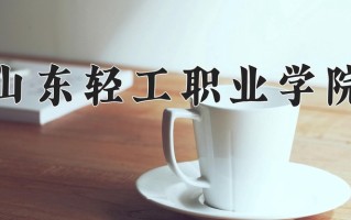 2024年山东轻工职业学院招生章程，附办学层次和录取规则