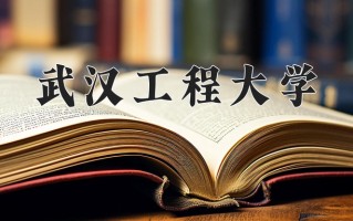 2024年武汉工程大学招生章程，附办学层次和录取规则