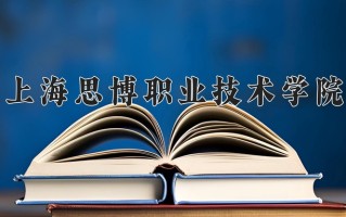 2024年上海思博职业技术学院招生章程，附办学层次和录取规则