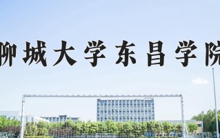 2024年聊城大学东昌学院招生章程，附办学层次和录取规则