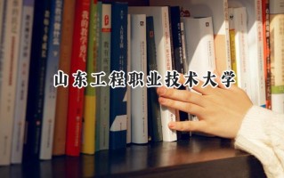 山东工程职业技术大学2024在浙江录取分数线是多少？最低328分/最高527分