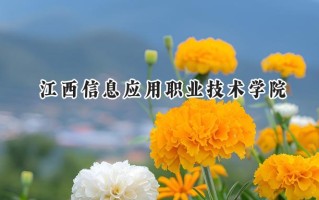 2024江西信息应用职业技术学院录取分数线：河南最低323分