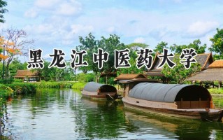 2024黑龙江中医药大学录取分数线：宁夏最低416分