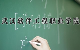 2025年武汉软件工程职业学院在河南计划招生人数（附学费及专业录取分)