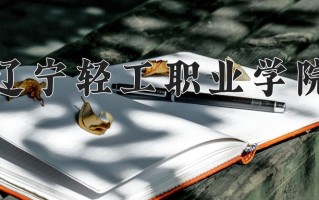 2025年辽宁轻工职业学院在河南计划招生人数（附学费及专业录取分)