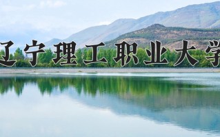 2024年辽宁理工职业大学招生章程，附办学层次和录取规则