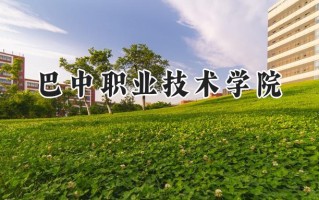 巴中职业技术学院2024在青海录取分数线是多少？最低252分/最高354分