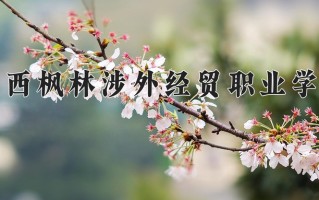 2024江西枫林涉外经贸职业学院录取分数线：浙江最低269分