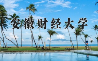 2025年安徽财经大学在四川计划招生人数（附学费及专业录取分)