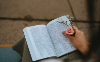 2024年新疆艺术类专业省级统考各科类考点