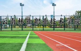 云南405分能上什么大学？附2025年可以报考的大学名单