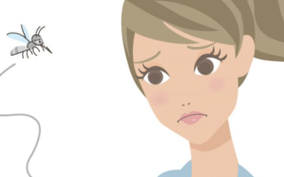 蚊子为啥总“叮”你？中药防蚊有妙招！