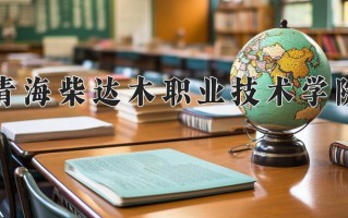2025年青海柴达木职业技术学院在四川计划招生人数（附学费及专业录取分)