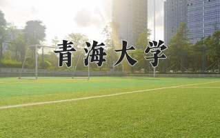 2025年青海大学在新疆计划招生人数（附学费及专业录取分)