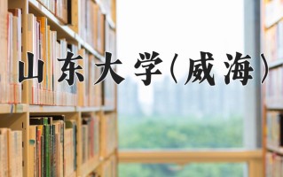 陕西594分能上什么大学？附2025年可以报考的大学名单