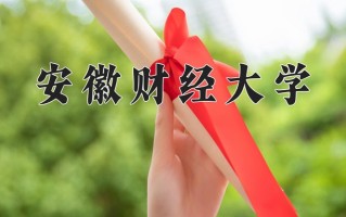 2024年安徽财经大学招生章程，附办学层次和录取规则