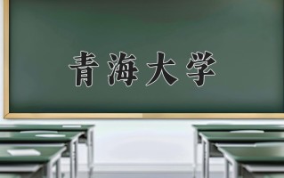 青海大学全国排名及2024年最低录取分数线