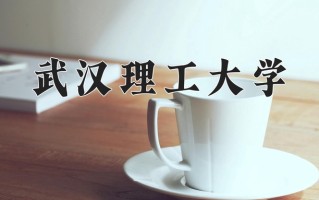 武汉理工大学一年学费多少钱及各专业的收费标准(2025参考）