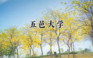 2024五邑大学录取分数线：河南最低510分