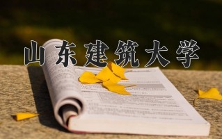 2025年山东建筑大学在新疆计划招生人数（附学费及专业录取分)