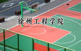 徐州工程学院2024在山东录取分数线是多少？最低467分/最高540分