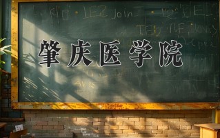 2025年肇庆医学院在新疆计划招生人数（附学费及专业录取分)