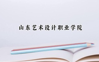 山东艺术设计职业学院2024在山东录取分数线是多少？最低262分/最高328分