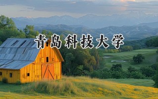 2024青岛科技大学录取分数线：天津最低550分