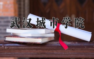 武汉城市学院最厉害的专业-2024武汉城市学院最好专业