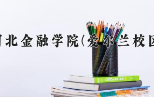 河北金融学院(爱尔兰校区)一年学费多少钱及各专业的收费标准(2025参考）