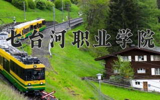 2025年七台河职业学院在河南计划招生人数（附学费及专业录取分)
