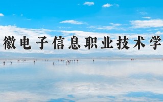 安徽电子信息职业技术学院一年学费多少钱及各专业的收费标准(2025参考）