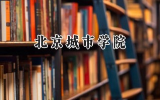 2024北京城市学院录取分数线：天津最低493分