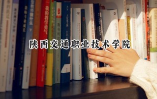 2024陕西交通职业技术学院录取分数线：天津最低235分