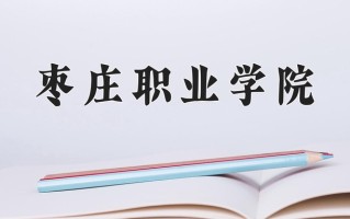 2025年枣庄职业学院在河南计划招生人数（附学费及专业录取分)