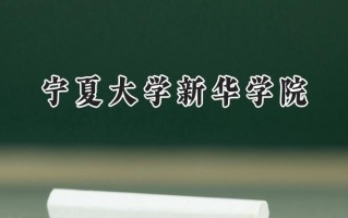 2024宁夏大学新华学院录取分数线：天津最低462分