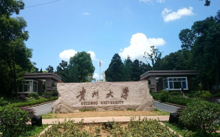 贵州大学是985还是211