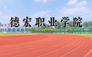2024年德宏职业学院招生章程，附办学层次和录取规则