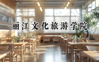 2024丽江文化旅游学院录取分数线：河南最低165分