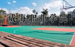 2025年威海职业学院在河南计划招生人数（附学费及专业录取分)
