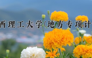 陕西理工大学(地方专项计划)一年学费多少钱及各专业的收费标准(2025参考）