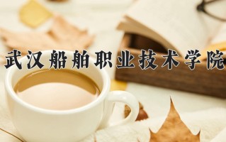 2024年武汉船舶职业技术学院招生章程，附办学层次和录取规则