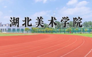 湖北美术学院一年学费多少钱及各专业的收费标准(2025参考）