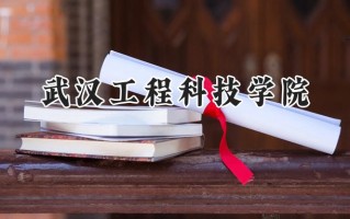 2024武汉工程科技学院录取分数线：河南最低188分