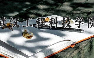 2024年武汉工程科技学院招生章程，附办学层次和录取规则