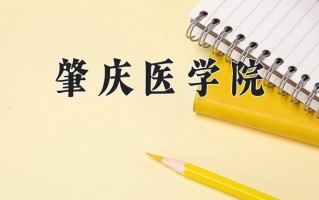 2024年肇庆医学院招生章程，附办学层次和录取规则