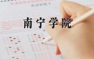 2025年南宁学院在四川计划招生人数（附学费及专业录取分)