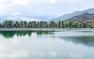 辽宁考生多少分能上武汉铁路职业技术学院？2025最低371分